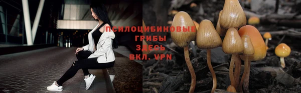 герыч Нязепетровск