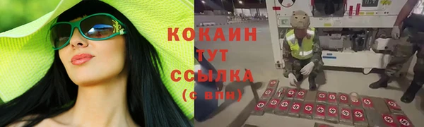 мдма Няндома