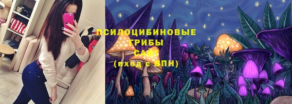 мдма Няндома
