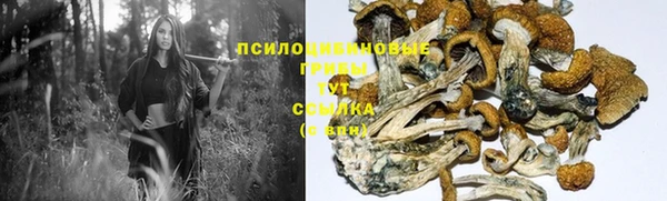 мдма Няндома
