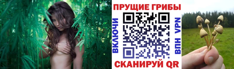 Псилоцибиновые грибы Psilocybine cubensis  ссылка на мегу зеркало  Остров 